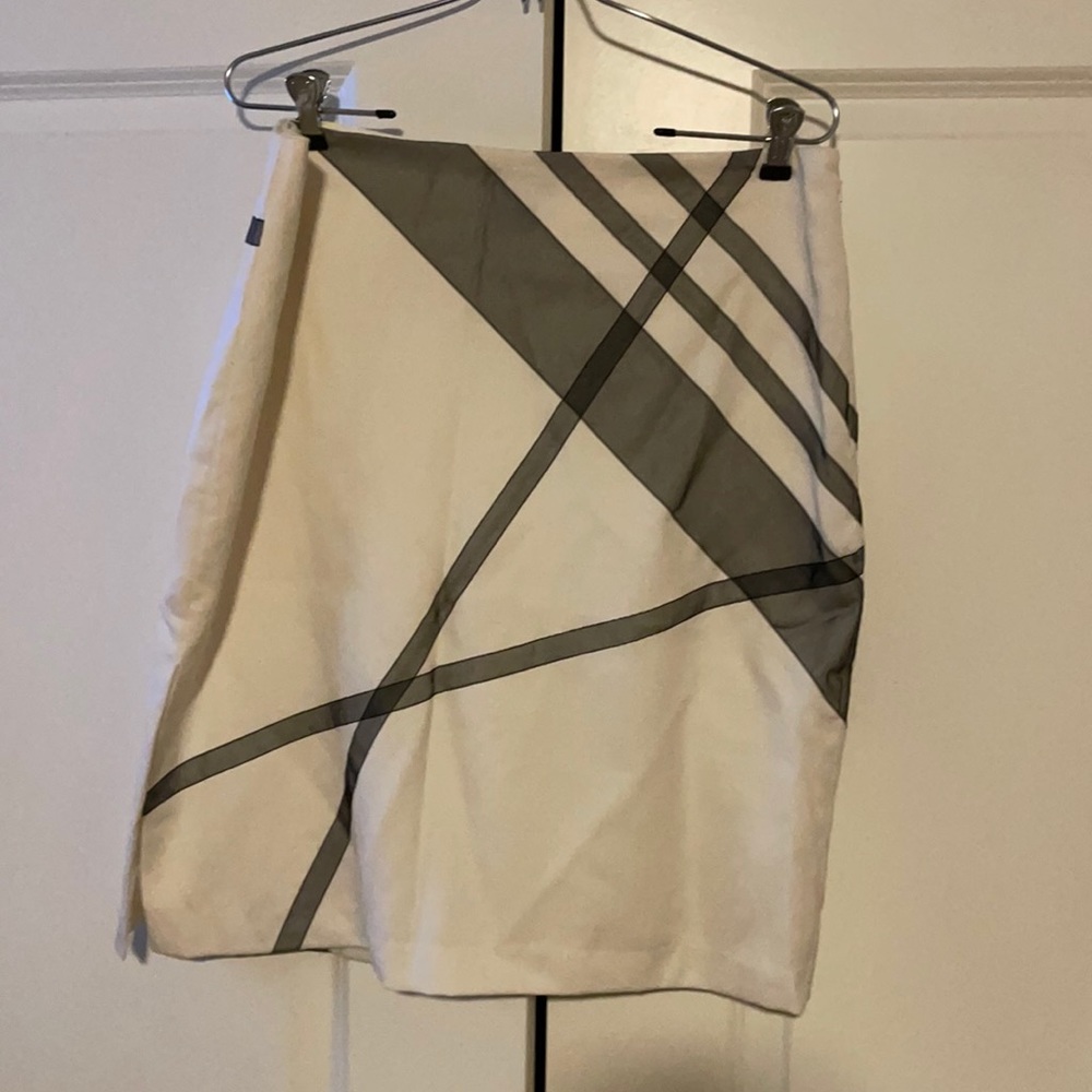 Express Short pencil skirt